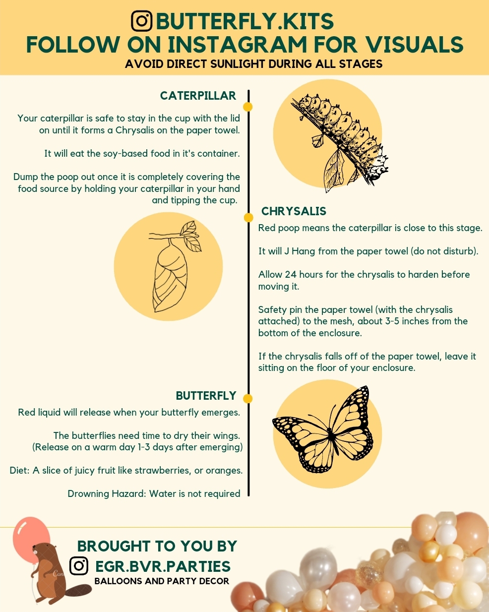 Butterfly Kit Instructions Allan A. Greenleaf Elementary School