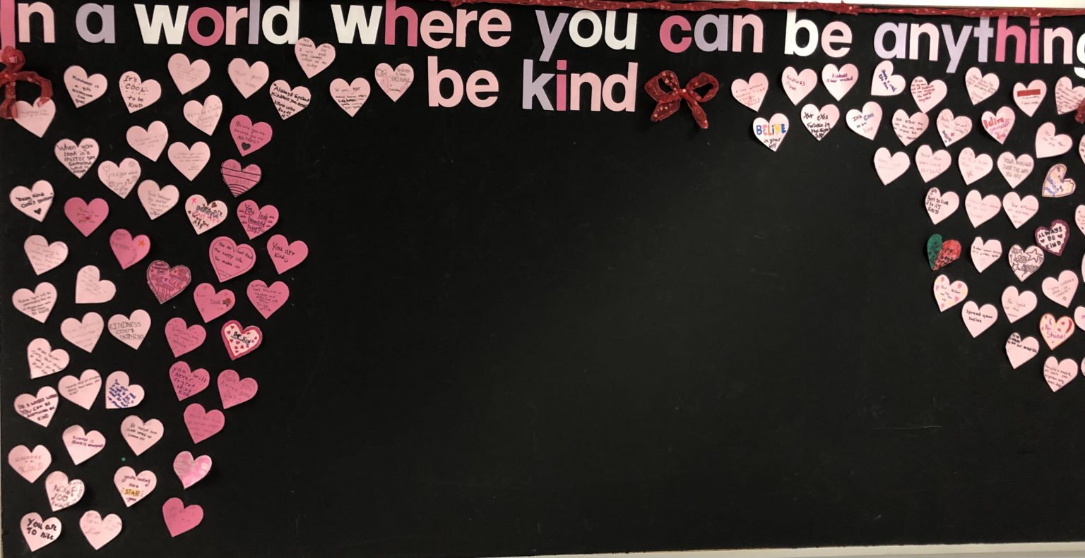 February 24th is Pink Shirt Day Balaclava Elementary School