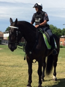 Officer with Horse