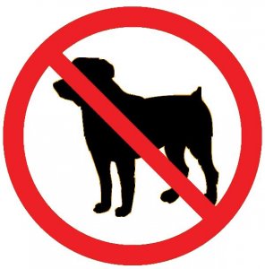 No dogs allowed on school property