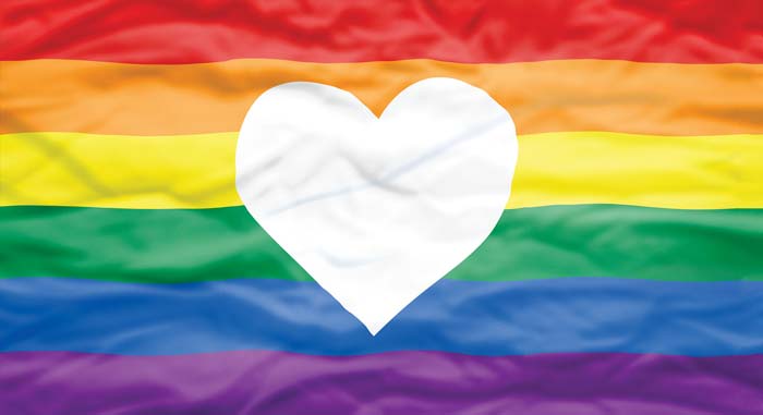 LGBTQ Flag