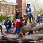 cootes playground
