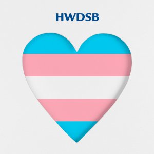 transgender flag as heart