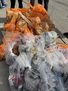 Garbage collected by Saltfleet students