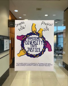 Braiding Diversity Into Justice logo